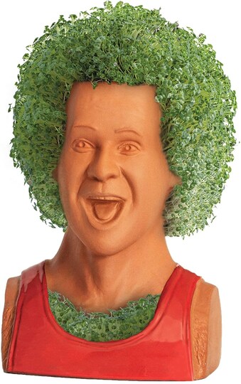 Richard Simmons Chia Pet Decorative Planter Michaels